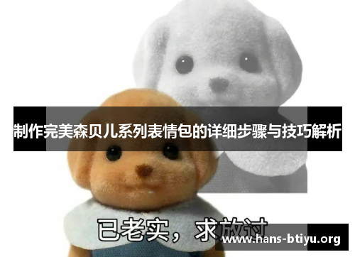 制作完美森贝儿系列表情包的详细步骤与技巧解析